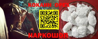 гашик Аргун