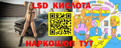 гашик Аргун