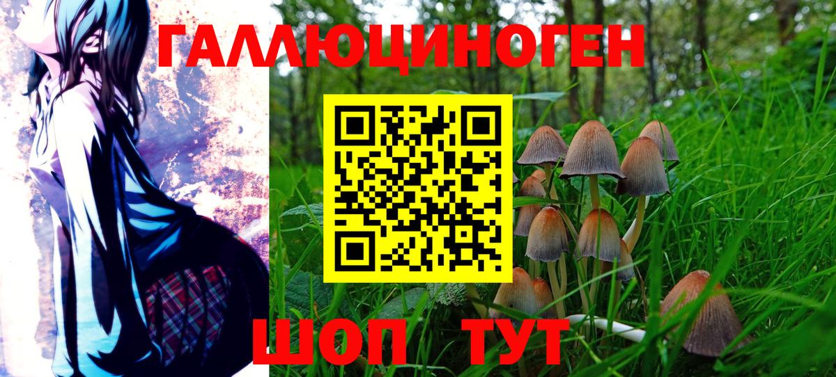 Галлюциногенные грибы Psilocybe Воскресенск