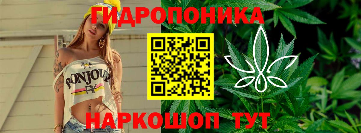 Шишки марихуана семена  Вход с VPN  Бошки Шишки марихуана  Воскресенск  Бошки марихуана MAZAR  Бошки Шишки Bruce Banner 